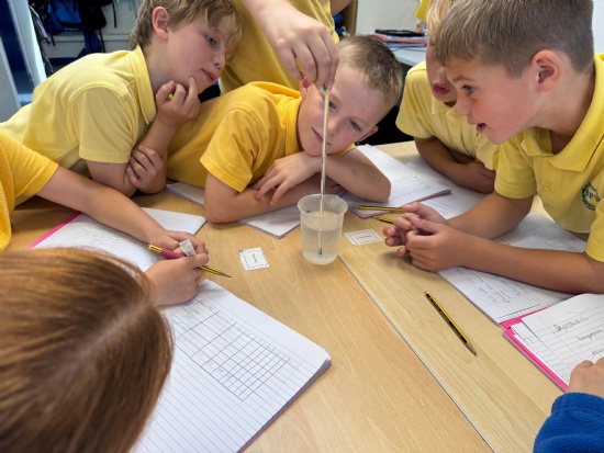 Brookdale Bulletin - 3rd  October 2025