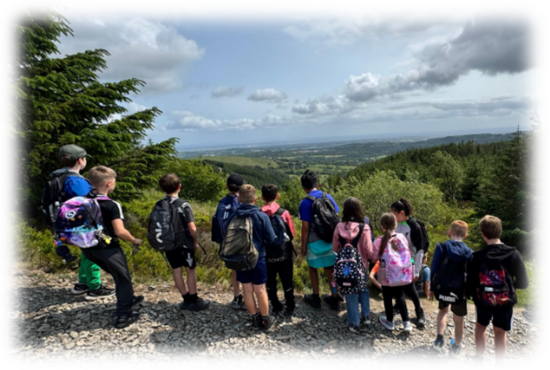 Brookdale Bulletin - 6th June 2025