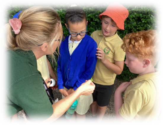 Brookdale Bulletin - 20th June 2025